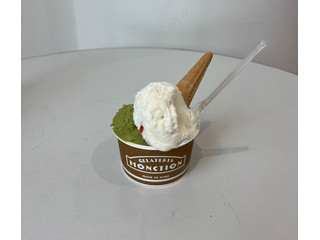 GELATERIA MONCTION 抹茶コーヒー酒粕マスカルポーネ