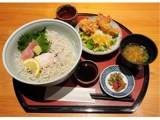 山川海 海鮮しらす丼・唐揚
