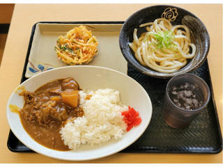 はなまるうどん カレーライスと冷かけセット