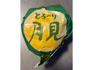 ケンタッキー とろ～り和風月見和風カツバーガー こぼれタルタル