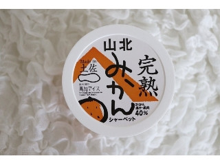 完熟山北みかんシャーベット