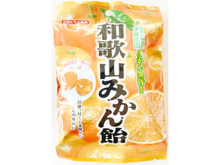 川口製菓 和歌山みかん飴