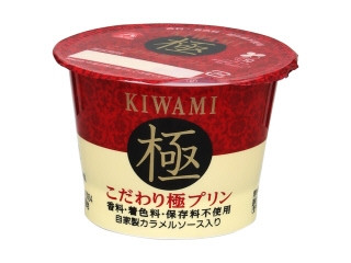 アンデイコ こだわり極プリン