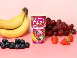メロディアン Acai Smoothie フルーツミックス