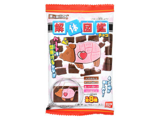 バンダイ キャラパキ 解体図鑑チョコ