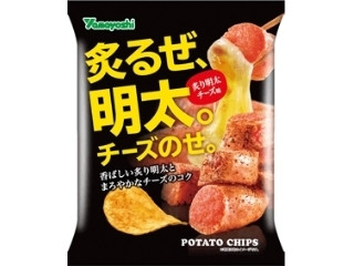 山芳製菓 炙り明太チーズ味