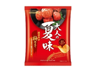 山芳製菓 ポテトチップス 大人の夏味 濃厚辛口梅仕立て