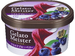 ジェラートマイスター（Gelato Meister）」のおすすめ商品一覧