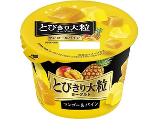 高評価】HOKUNYU とびきり大粒ヨーグルト マンゴー
