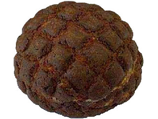 セブン-イレブン 黒いメロンパン きなこホイップ
