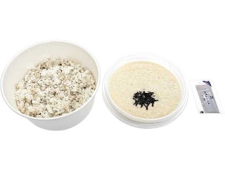 「ひろえ1」さんが「食べたい」しました