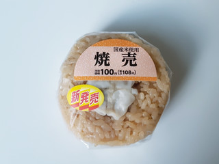 焼売おにぎり様専用』 カスタムオプション差額 SRB onigiri おにぎり