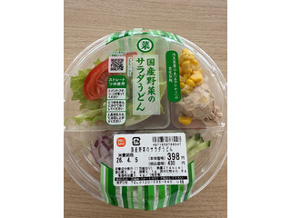 ナチュラルローソン 国産野菜のサラダうどん