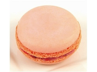 中評価】ニューデイズ EKI na CAFE マカロン ストロベリーの