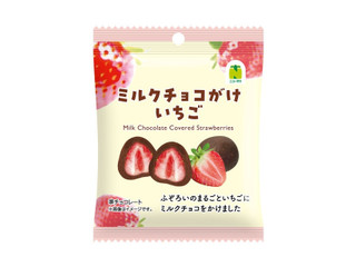 ニューデイズ ニュータス ミルクチョコがけいちご（ニューデイズ
