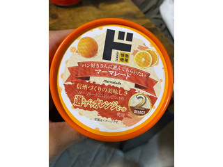 ドン・キホーテ 情熱価格 マーマレード