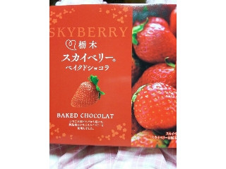豊上製菓 栃木スカイベリー ベイクドショコラ（豊上製菓）クチコミ2件