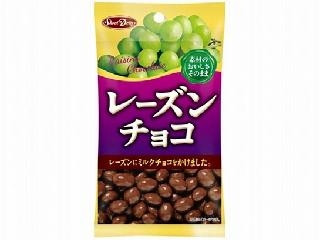 正栄デリシィ レーズンチョコ