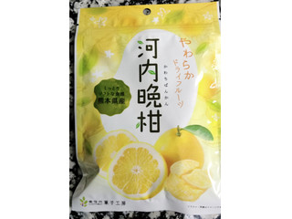 南信州菓子工房 やわらかドライフルーツ 河内晩柑