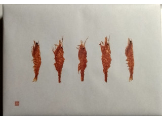 桂新堂 海老づくし