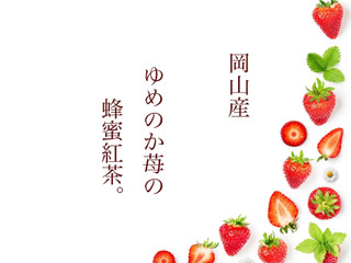 はちみつ茶葉園 ゆめのか苺の蜂蜜紅茶 オリジナルキャニスター缶付 商品写真