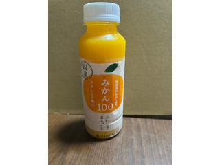 ワンダーチルディア みかん100 ストレート果汁