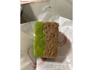 柴舟小出 山野草