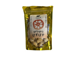 佐久山傳造商店 れんこん粉末入り揚げ餅＆れんこんチップ