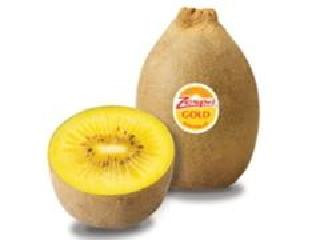 ゼスプリ インターナショナル ジャパン ゼスプリ ゴールドキウイ