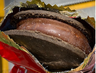 「江崎グリコ ガトーショコラ クッキーサンドアイス 袋1個」のクチコミ画像 by 炭水化物の佐内さん