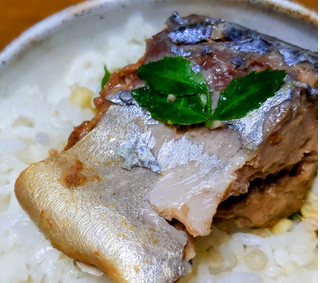 「伊藤食品 美味しい鯖味噌煮 缶180g」のクチコミ画像 by おうちーママさん