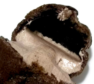 「オランジェ OREO クッキー＆バニラクリームのシュークリーム 袋1個」のクチコミ画像 by つなさん