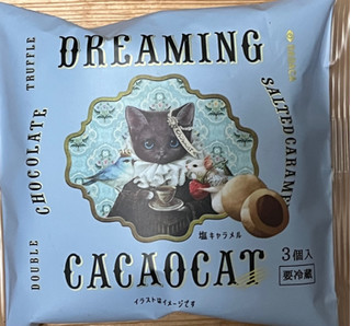 「DADACA Dreaming CACAOCAT 塩キャラメル 3個」のクチコミ画像 by わやさかさん