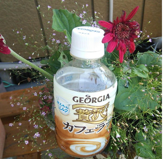 「コカ・コーラ ジョージア（GEORGIA） 贅沢カフェラテ ホット 280ml」のクチコミ画像 by はるるそらさん