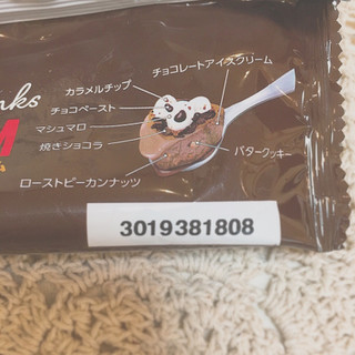 「セブン-イレブン マックス ブレナー チョコレートチャンクアイスクリーム」のクチコミ画像 by aiceさん