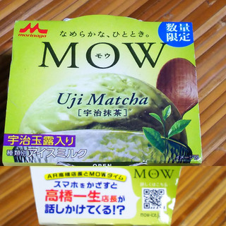 「森永 MOW 宇治抹茶 カップ140ml」のクチコミ画像 by トイプードルちゃんさん