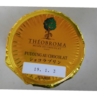 「HOKUNYU テオブロマ ショコラプリン カップ90g」のクチコミ画像 by レビュアーさん