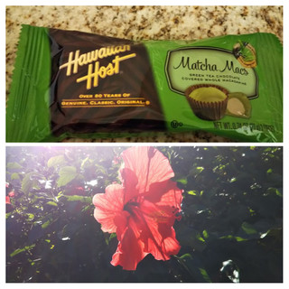 「ハワイアンホースト マカデミアナッツチョコレート 抹茶マックスバー 袋2個」のクチコミ画像 by レビュアーさん