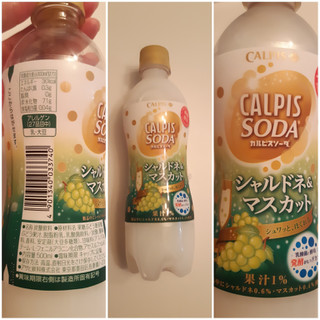 「カルピス カルピスソーダ シャルドネ＆マスカット ペット500ml」のクチコミ画像 by MAA しばらく不在さん