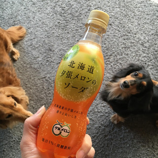 「ポッカサッポロ 北海道夕張メロンのソーダ ペット420ml」のクチコミ画像 by まえ子んさん