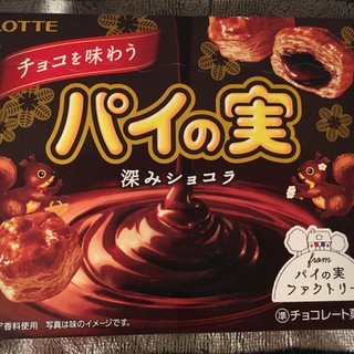 「ロッテ チョコを味わうパイの実 深みショコラ 箱69g」のクチコミ画像 by まえ子んさん