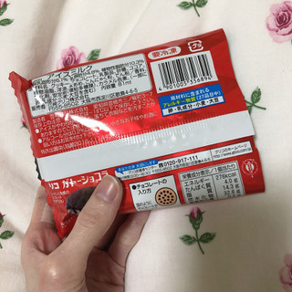 「江崎グリコ ガトーショコラ クッキーサンドアイス 袋1個」のクチコミ画像 by ヘルシーさん