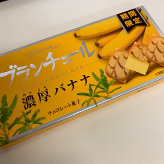 「ブルボン ブランチュールミニチョコレート 濃厚バナナ 箱12個」のクチコミ画像 by ぷて1103さん