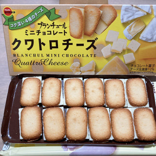 「ブルボン ブランチュールミニチョコレートクワトロチーズ 箱12個」のクチコミ画像 by もぐミさん