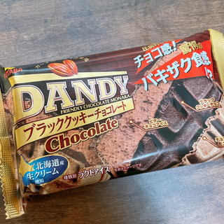 「FUTABA ダンディー チョコレート 袋160ml」のクチコミ画像 by ぺりちゃんさん