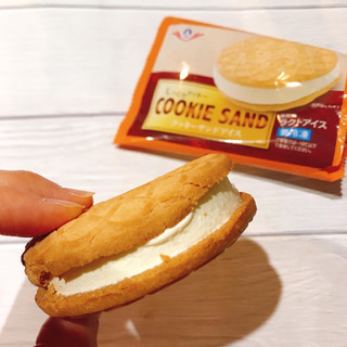 「田口 クッキーサンドアイス 袋1個」のクチコミ画像 by ice-tokkoさん