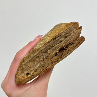 「ファミリーマート ファミマ・ベーカリー 生チョコクリームのパイ」のクチコミ画像 by apricotさん