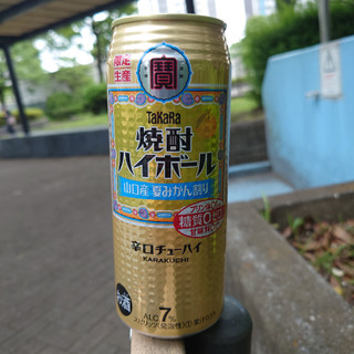 「タカラ 焼酎ハイボール 山口産夏みかん割り 缶500ml」のクチコミ画像 by tddtakaさん