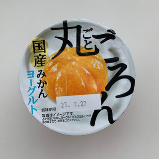 「HOKUNYU ごろん丸ごと国産みかんヨーグルト 120g」のクチコミ画像 by にゃんこさん