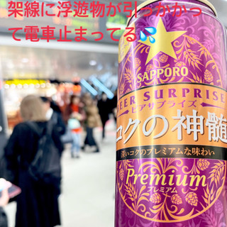 「サッポロ ビアサプライズ コクの神髄 缶500ml」のクチコミ画像 by ビールが一番さん